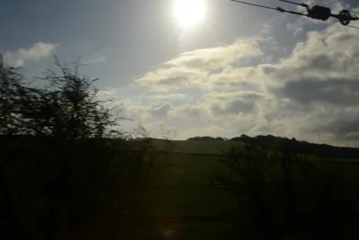 DSC_7177 (Large).JPG